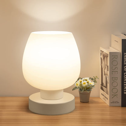 ONEWISH 13TAB Opal Touch lamp