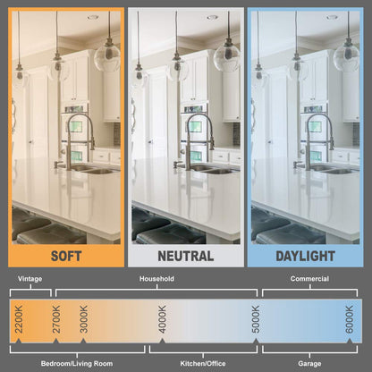 Amazon Basics Dimmable LED Light Bulbs Collection