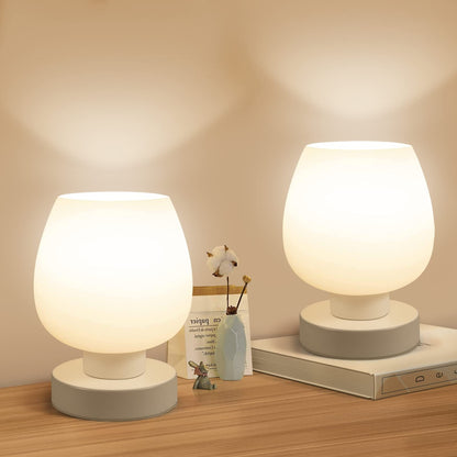 ONEWISH 13TAB Opal Touch lamp