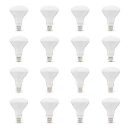 Amazon Basics Dimmable LED Light Bulbs Collection