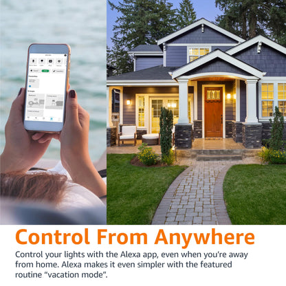 Amazon Basics Smart BR30 Light Bulb